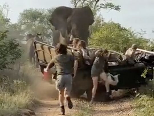 Слон та машина з туристами