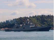 Туреччина закрила Босфор та Дарданелли для проходу військових кораблів Росії