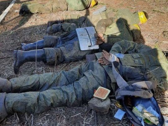 Полонені