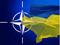 НАТО показала себя сборищем импотентов, - Юрий Романенко