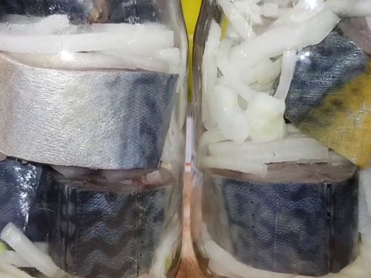 Как хранить рыбу без холодильника в течение 12 месяцев или рыбная тушенка без автоклава
