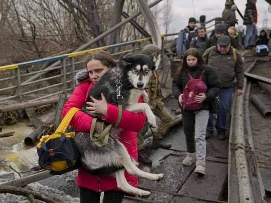 эвакуация животных
