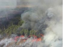 пожежа у Чорнобильській зоні