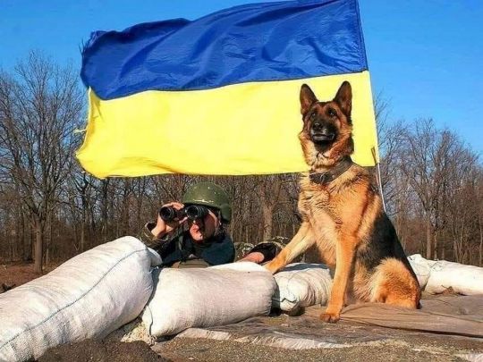 Украинский солдат с собакой