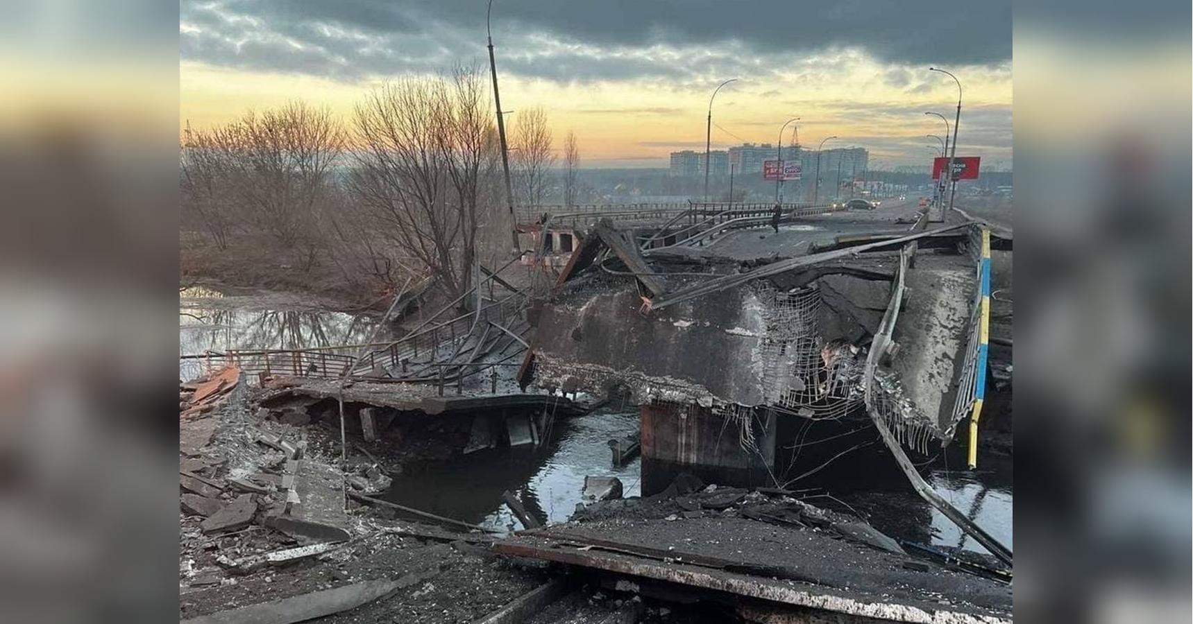 Своїх собак не кинув і навіть ніс половину шляху: українцеві довелося заради порятунку добиратися 40 км пішки до Києва