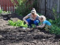 Календар садівника-городника: які культури потрібно посадити на початку травня
