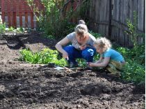 Календар садівника-городника: які культури потрібно посадити на початку травня