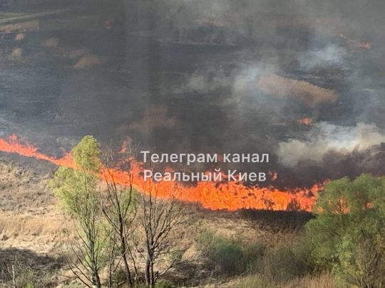 Прилет в киев Прилет в киев