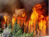 Лісова пожежа у Якутії