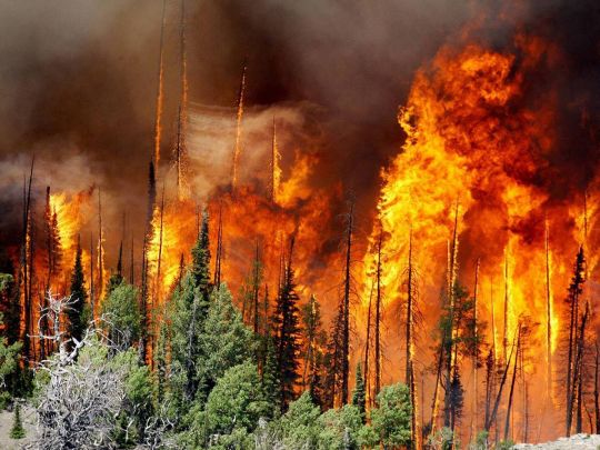Лісова пожежа у Якутії