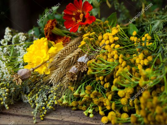Букет традиційних квітів і трав, який святять на Спаса 