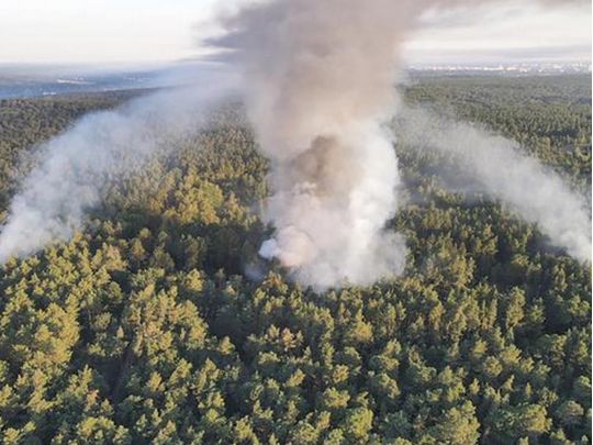 Пожежа у берлінському лісі