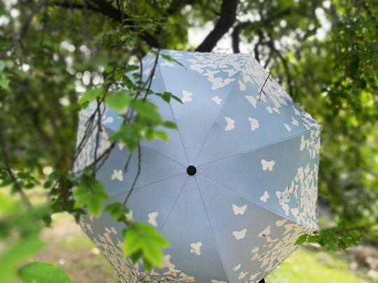парасолька весна
