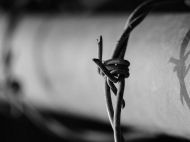 В&nbsp;россии обнаружили лагерь, где пленных украинцев &laquo;перевоспитывают&raquo; пытками