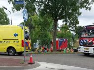 В&nbsp;Нідерландах водій вантажівки в&rsquo;їхав у&nbsp;натовп людей: є&nbsp;загиблі (фото, відео)