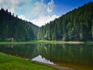 Рятують три струмки з&nbsp;гір: перлина Карпат озеро Синевир рекордно обміліло через спеку (відео)