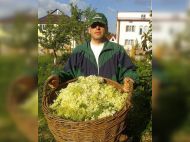 &laquo;Настій квіток п&rsquo;ють при кашлі та&nbsp;цукровому діабеті&raquo;: травник про лікувальні властивості гречки