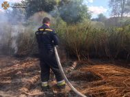 Київ знову задихається в&nbsp;диму від торфовищ, що&nbsp;горять: біля столиці&nbsp;&mdash; новий осередок займання