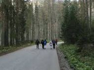 Туристический ваучер дадут и&nbsp;украинцам: наши беженцы в&nbsp;Польше смогут отправиться в&nbsp;бесплатное путешествие