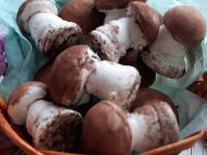 Зефирные грибочки: дети будут в&nbsp;восторге