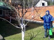 Искореняющая обработка: какую подпитку нужно обеспечить осенью всем плодовым деревьям, кустарникам и&nbsp;винограду (видео)