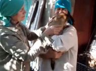 Весна обязательно наступит: стала известна судьба знаменитого харьковкого сурка-предсказателя Тимки, оказавшегося в&nbsp;оккупации