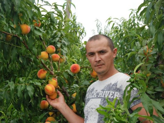 Роман Коробаєв