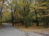 Сніг чи&nbsp;спека: синоптики влаштували дискусію з&nbsp;приводу того, коли закінчиться &laquo;бабине літо&raquo;