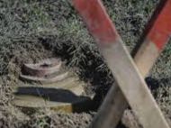 Стала жертвою &laquo;сюрпризу&raquo; від російських військових: під Харковом жінка випасала кіз і&nbsp;наступила на&nbsp;міну рф