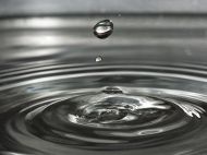 Как сделать &laquo;живую воду&raquo; из&nbsp;обычной водопроводной: советы цветоводов