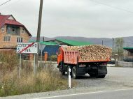 ЗМІ розповіли, як&nbsp;у&nbsp;Великобичківському ЛМГ на&nbsp;Закарпатті роками розкрадають ліс