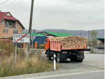 СМИ рассказали, как в Великобычковском лесхозе в Закарпатье годами разворовывают лес