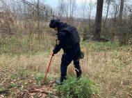 На&nbsp;Харківщині двоє людей загинули внаслідок підриву на&nbsp;міні