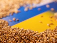 хто торгує краденим українським зерном