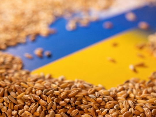 кто торгует ворованным украинским зерном