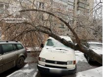 У Львові лютує негода: повалені дерева та електроопори, городян просять залишатися вдома