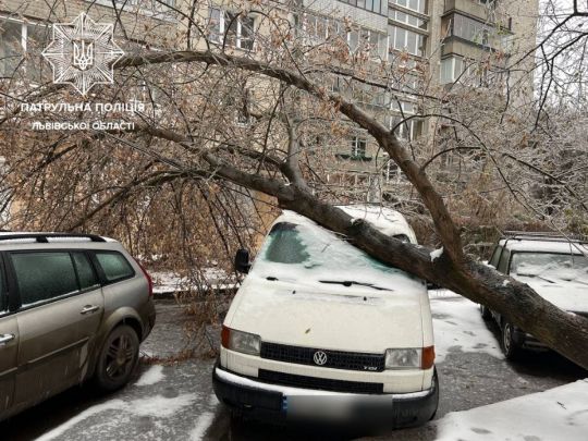 Во Львове свирепствует непогода: повалены деревья и электроопоры, горожан просят оставаться дома