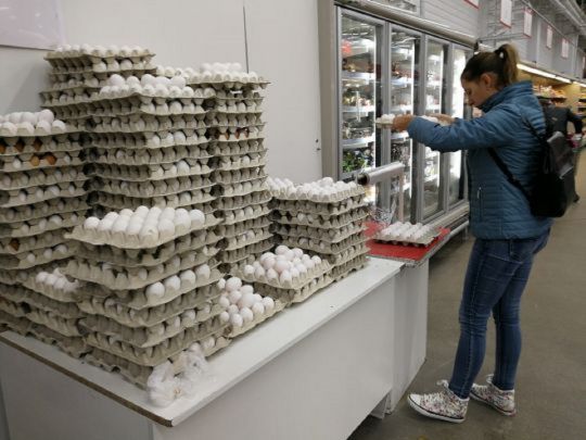 Продажа яиц