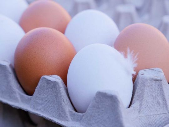 Протухлі яйця: як їх розпізнати в магазині