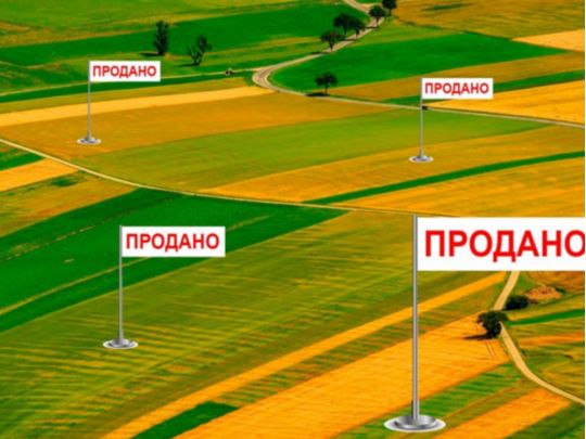 земельні ділянки