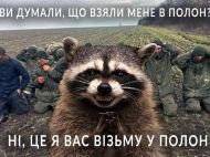 Владелец крымского зоопарка пообещал вернуть украденного енота и&nbsp;его товарищей