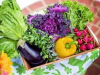 Можно есть в любом виде: шесть овощей, которые помогут похудеть быстро
