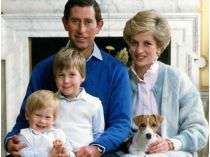 Чарльз III, принцеса Діана та їхні діти