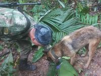 Спасатель с собакой во время поисков в джунглях