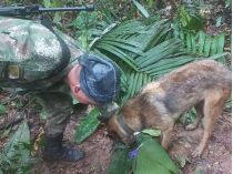 Рятувальник із собакою під час пошуків у джунглях