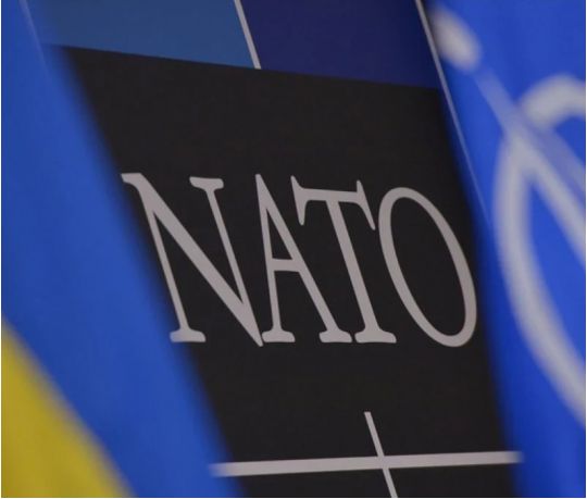 парламентська асамблея НАТО
