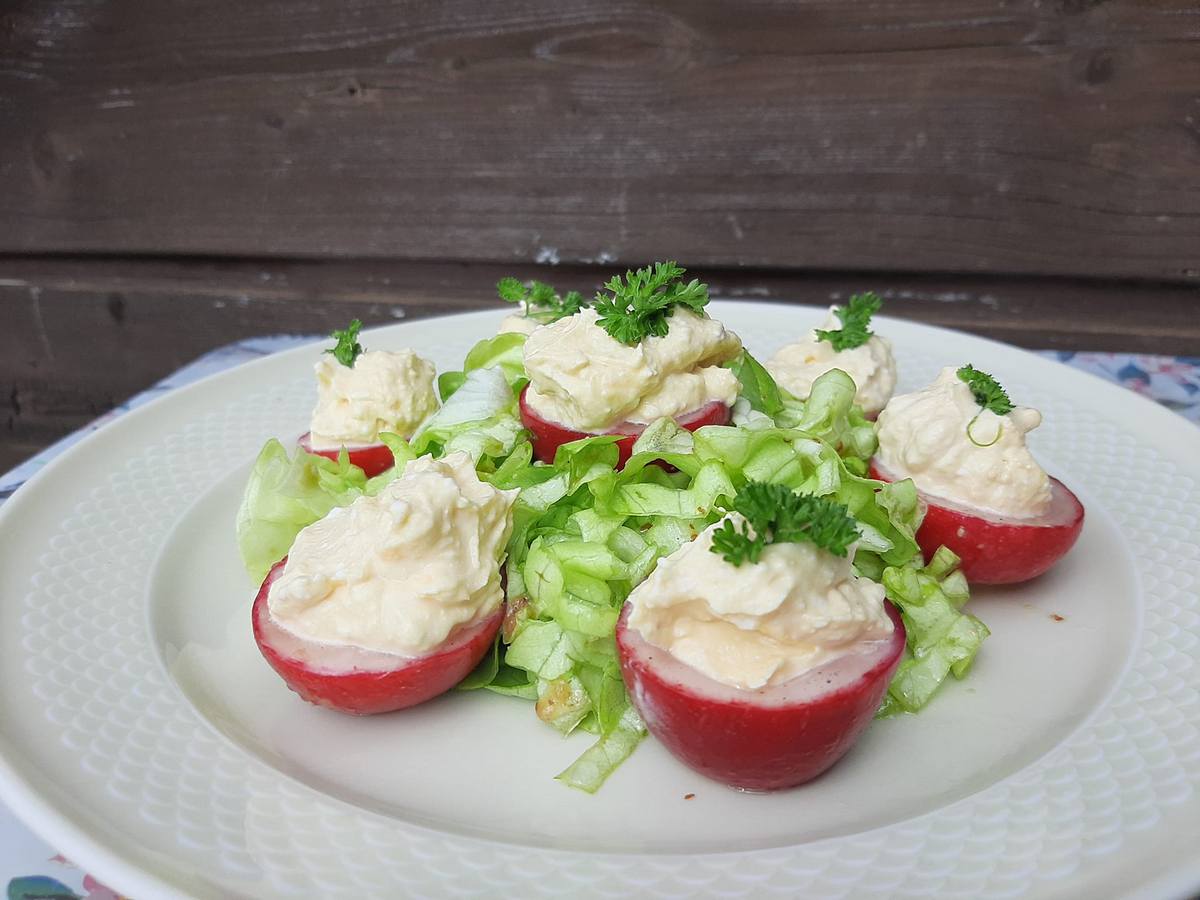 Рецепт фаршированного яичными желтками и творогом редиса от кулинара Эллы  Ивановой - «ФАКТЫ»