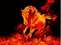 Вогняний кінь