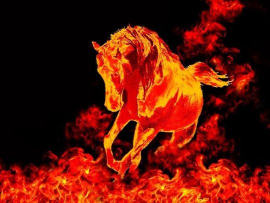 Вогняний кінь