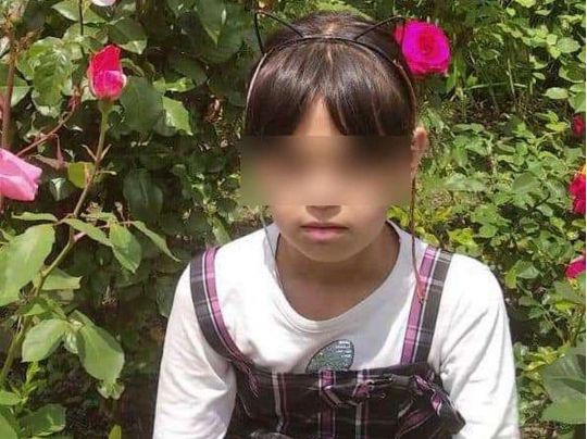 Убийство 9-летней Вероники на Косовщине